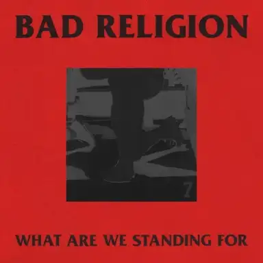 What Are We Standing For
