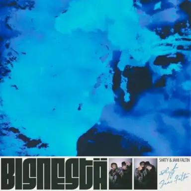 Bisnestä