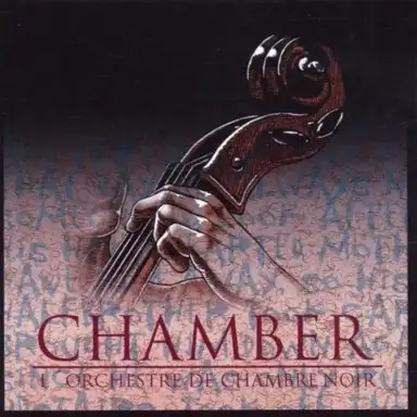 L’Orchestre de chambre noir