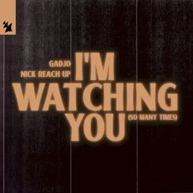 I'm Watching You (So Many Times)