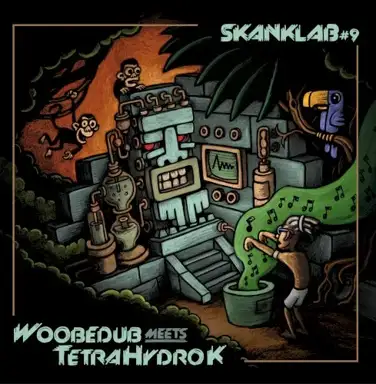 Skank Lab #9 - Woobedub Meets Tetra Hydro K