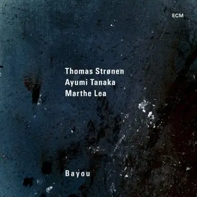 Bayou