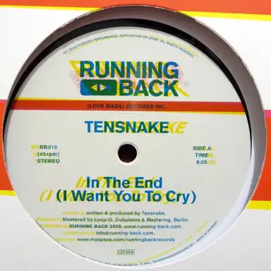 In the End (I Want You to Cry)