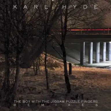 The Boy with the Jigsaw Puzzle Fingers