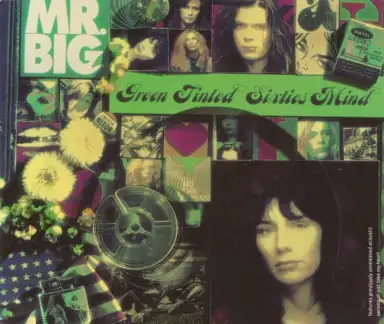 Green Tinted Sixties Mind
