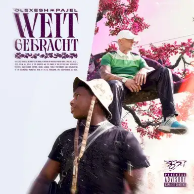Weit gebracht