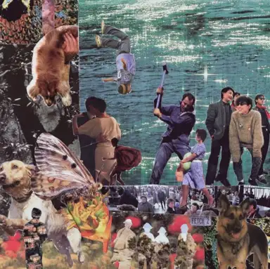 DEAD DOG PARADISE (OR LIFE LIKE PARASITES?)