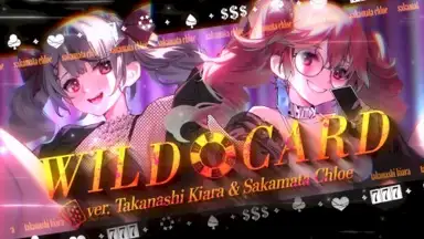 WILDCARD