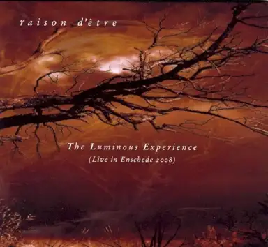The Luminous Experience (Live in Enschede 2008)