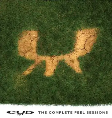 The Complete BBC John Peel Sessions
