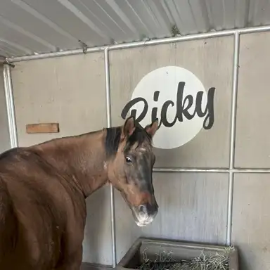 Ricky