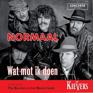 Wat mot ik doen / Baat het niet