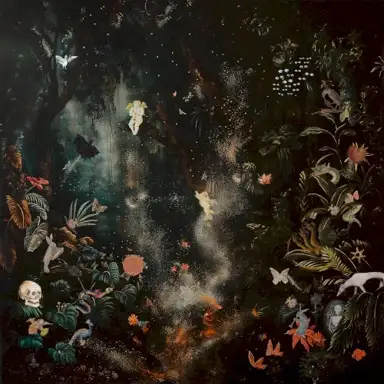 Old Weather / Bicep