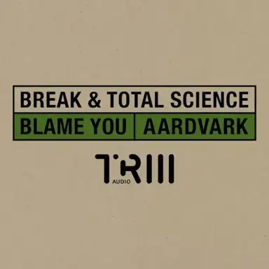 Blame You / Aardvark