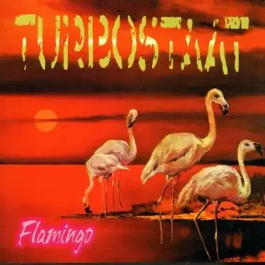 Flamingo