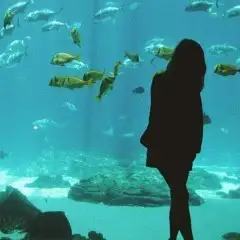 Surface Level