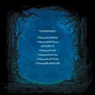VHSFNDEMOS
