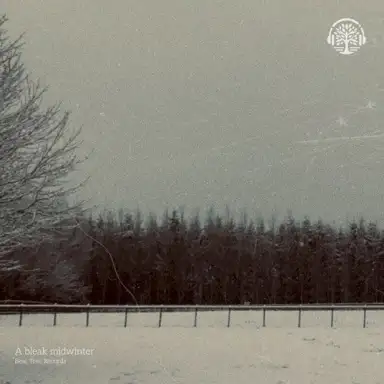 When the rain comes