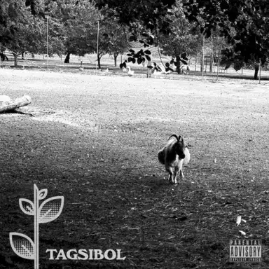 Tagsibol