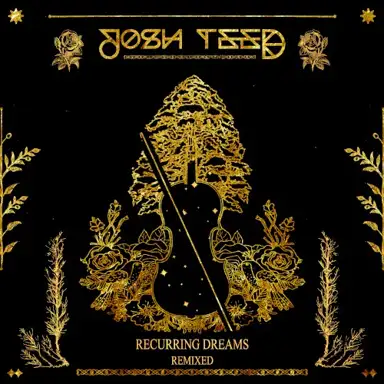 Recurring Dreams (remixed)