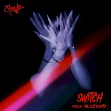 Switch