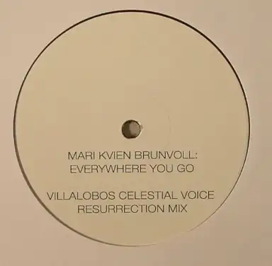 Everywhere You Go (Villalobos Mixes)