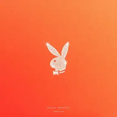 PLAYBOY