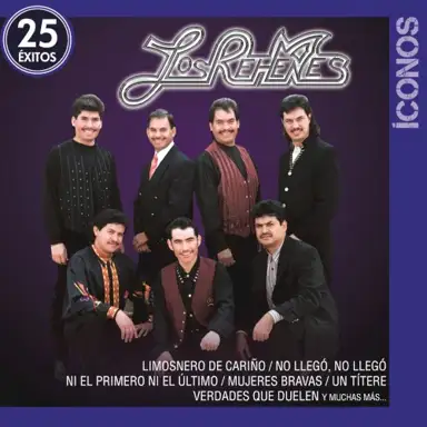 Íconos: 25 éxitos