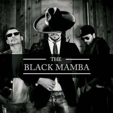 The Black Mamba