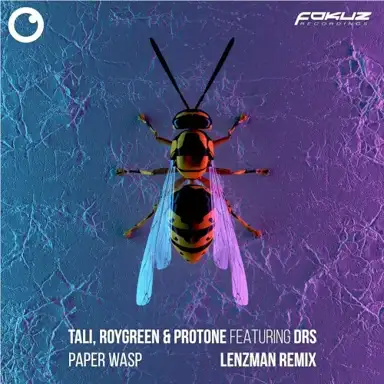 Paper Wasp (Lenzman remix)