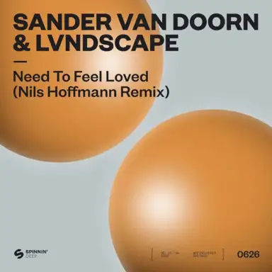 Need to Feel Loved (Nils Hoffmann remix)