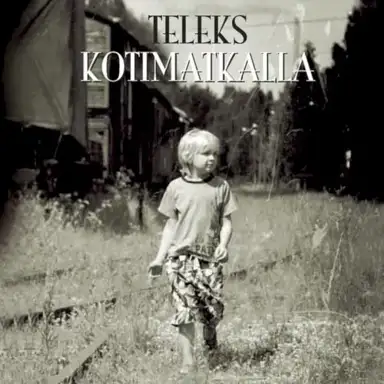 Kotimatkalla