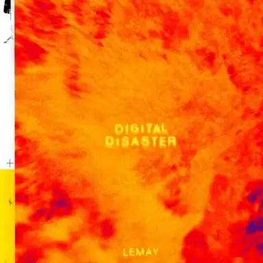 Digital Disaster