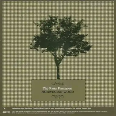 Norwegian Wood / I’m Looking Through You