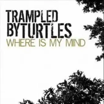Where Is My Mind?