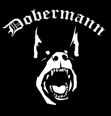 Dobermann