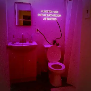 I Like to Hide in the Bathroom at Parties