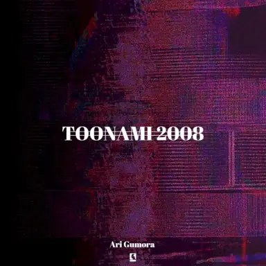 Toonami 2008