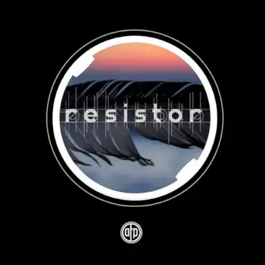 Resistor