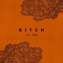 Bitch