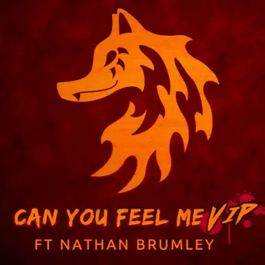 Can You Feel Me (VIP)