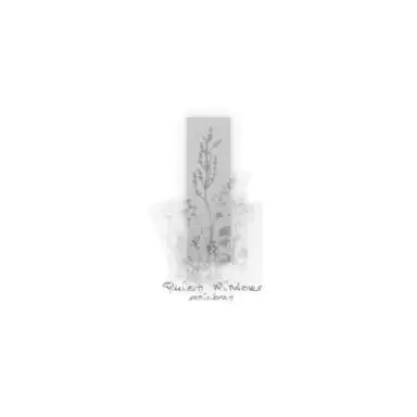 Quiet Windows