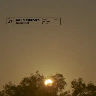 Volo