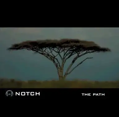 The Path