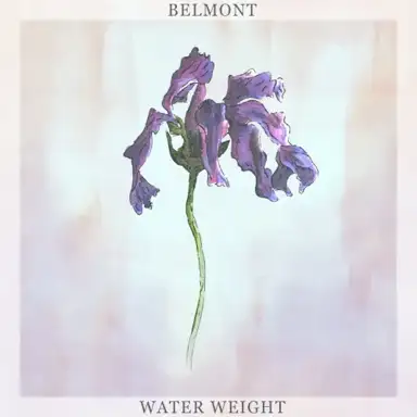 Water Weight