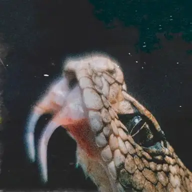 Serpentine