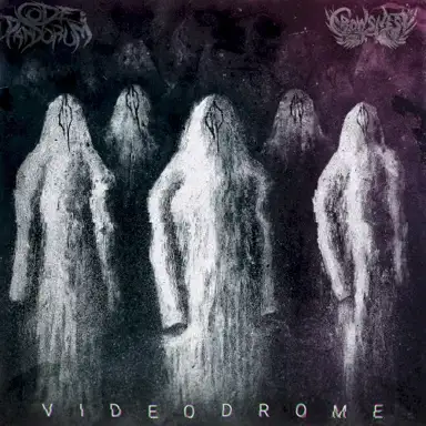 Videodrome