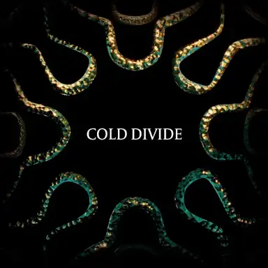 Cold Divide
