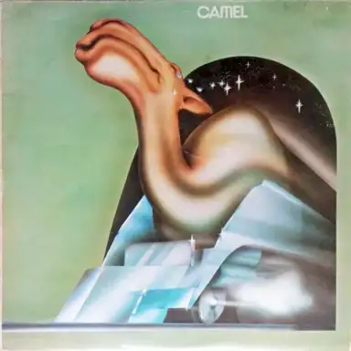 Camel