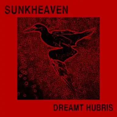 Dreamt Hubris
